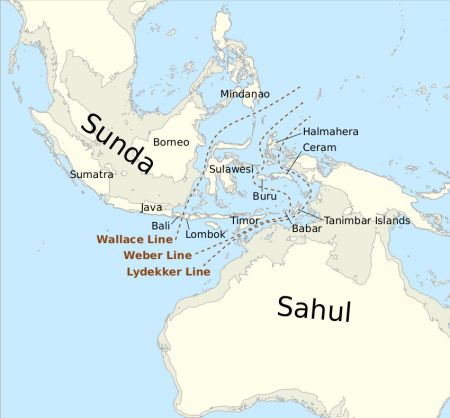 A map of south-east Asia showing a prehistoric configuration of landmasses.